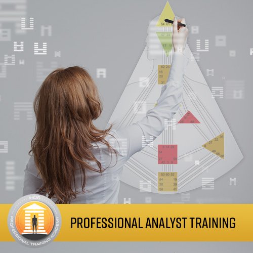 Professional Analyst Training Program
