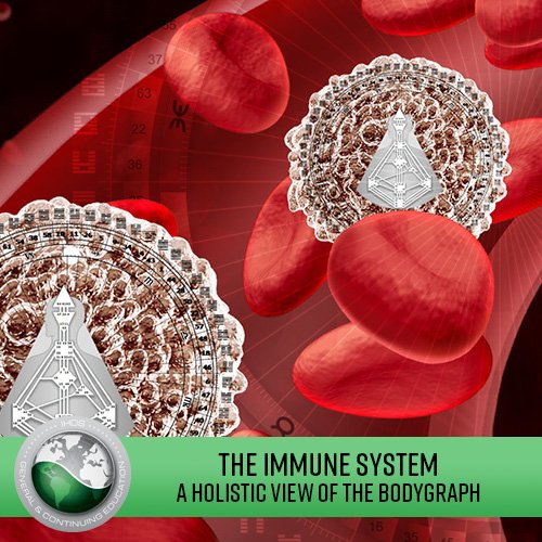 The Immune System  - A Holistic View of the Bodygraph