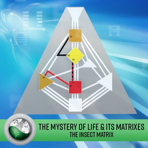 The Mystery of Life & its Matrixes: Lecture Series - The Insect Matrix