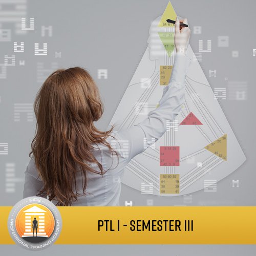 Professional Training Level I Analyst Program - Semester 3